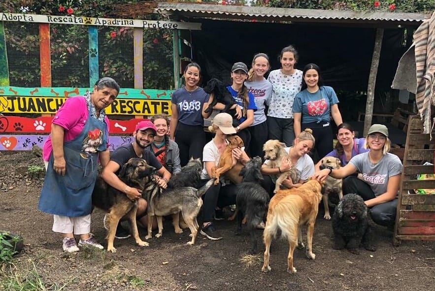 grupo de personas abrazadas a perros